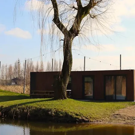 The Family - Quercus * Evergem